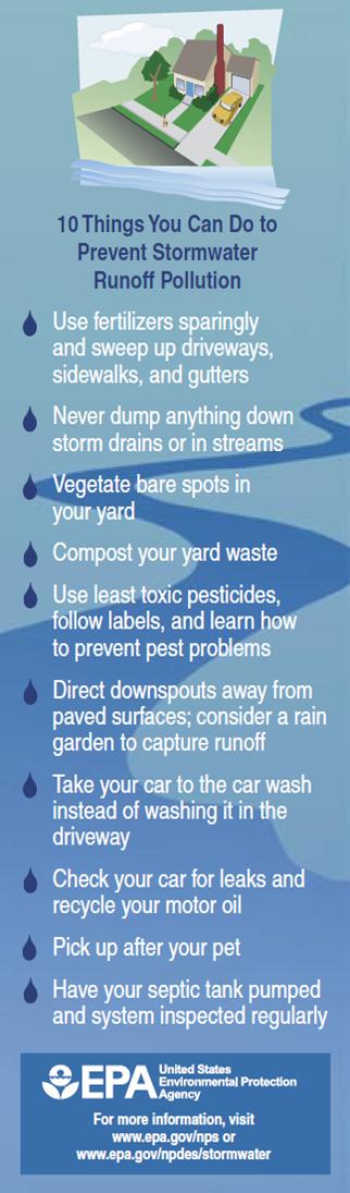 10 things you can do to prevent stormwater runoff pollution