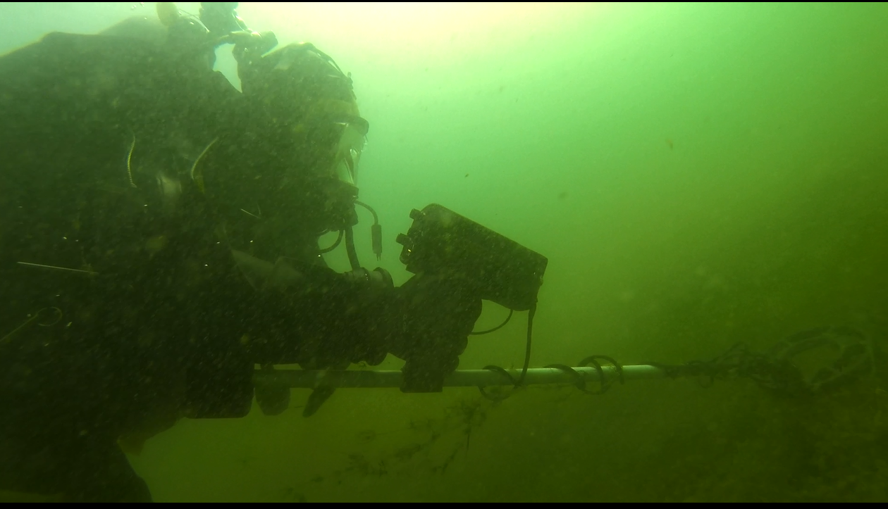 Diver underwater photo