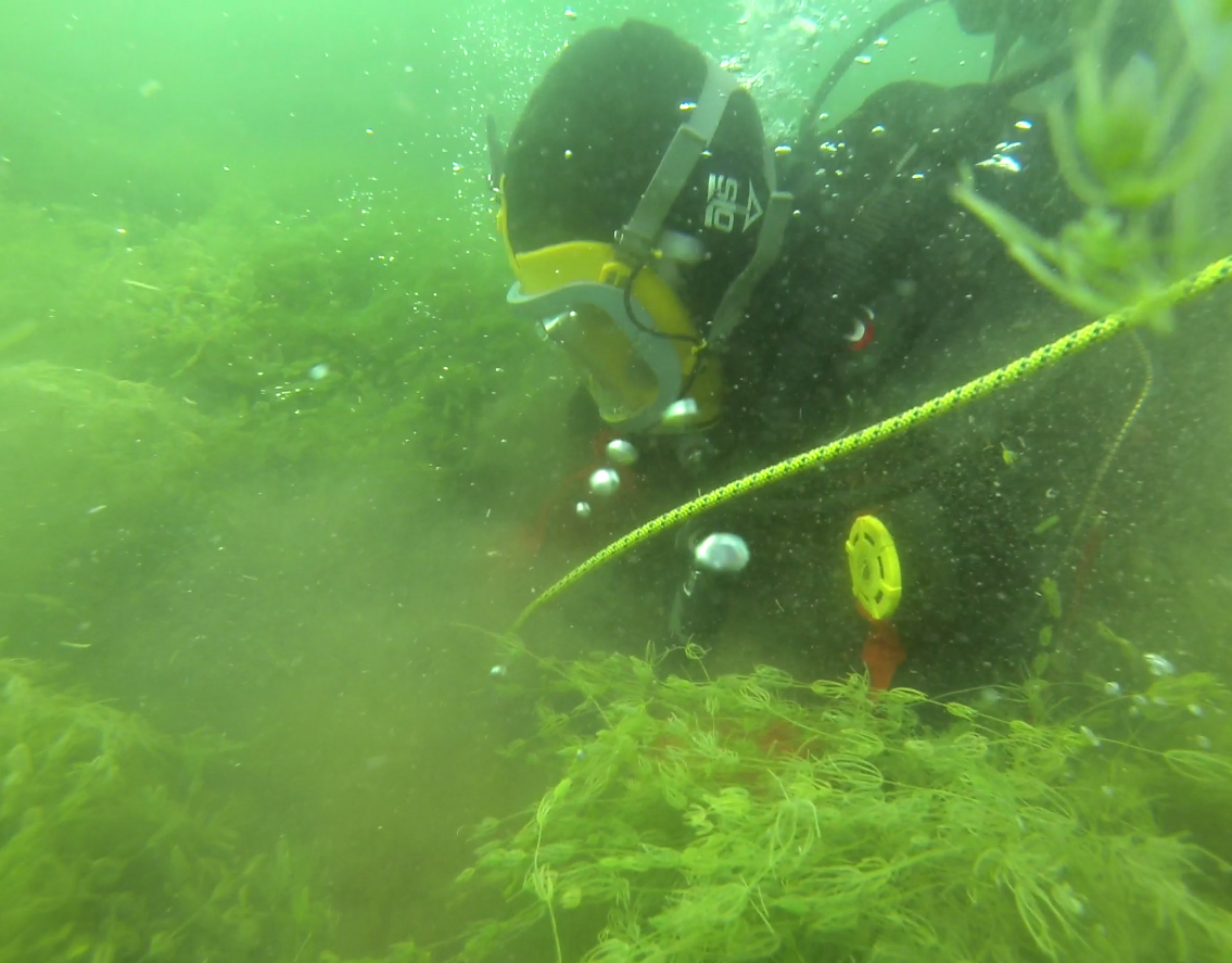 Diver with gear underwater