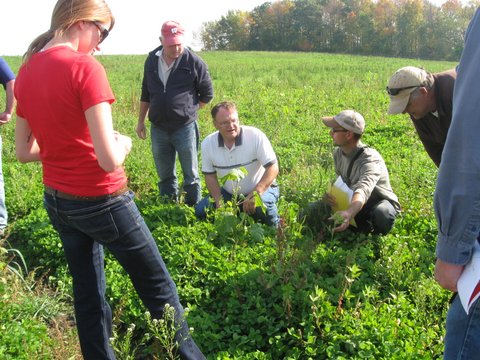 kleiber 57 group at site